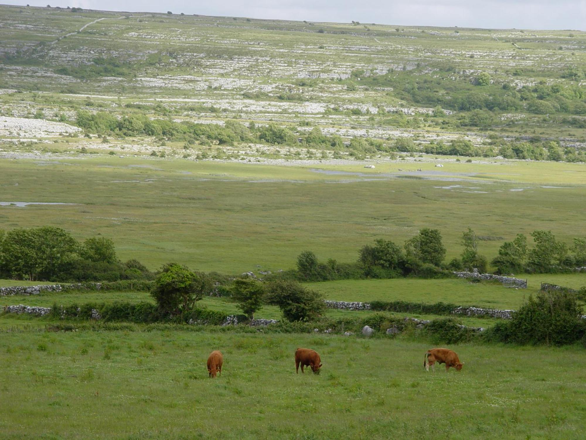 Clare'S Rock Self-Catering Accommodation Carron Exterior foto